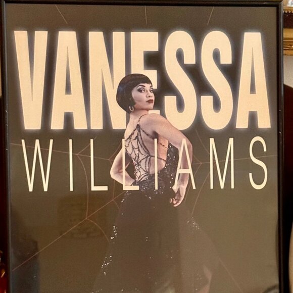 VANESSA WILLIAMS, KISS OF THE SPIDER WOMAN, FRAMED BROADWAY POSTER & PLAYBILL'94 - Picture 2 of 11